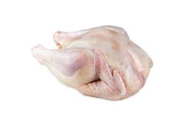 Chicken Whole Naked Hen per kg x 10