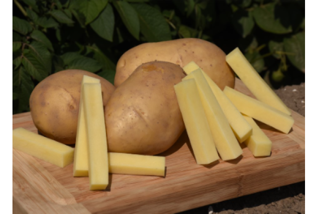 Markies potatoes per ton