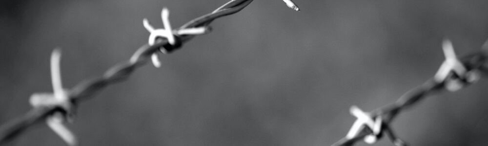 Barbed Wire