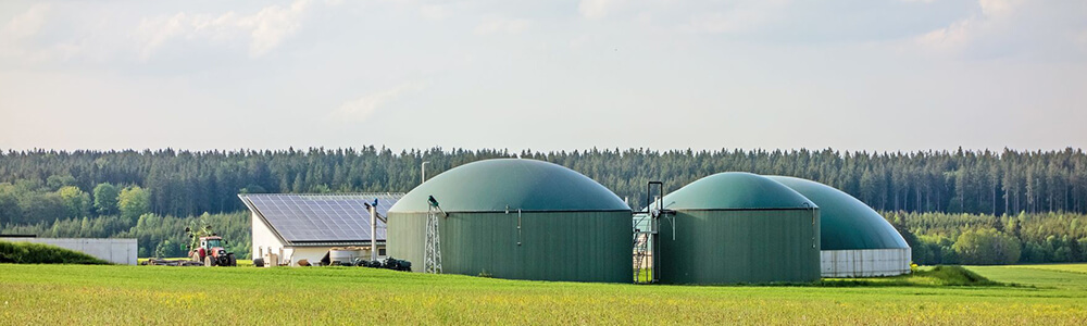 Biogas