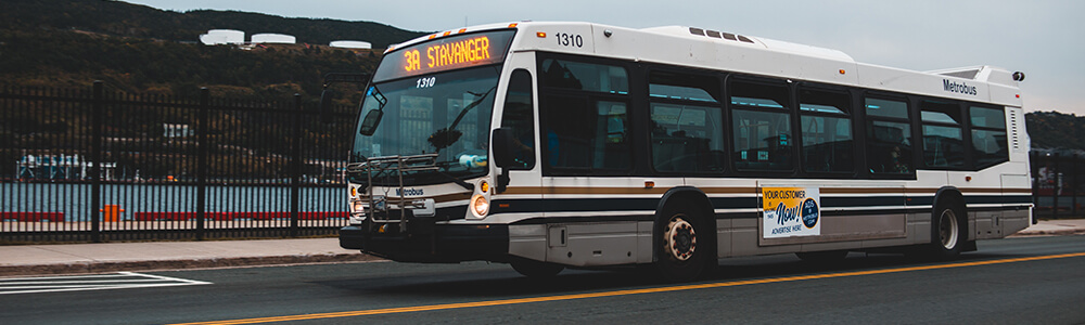 Bus