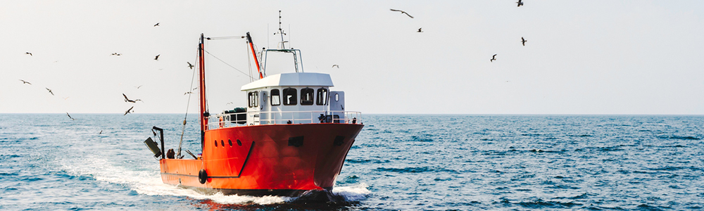 Fishing Vessels