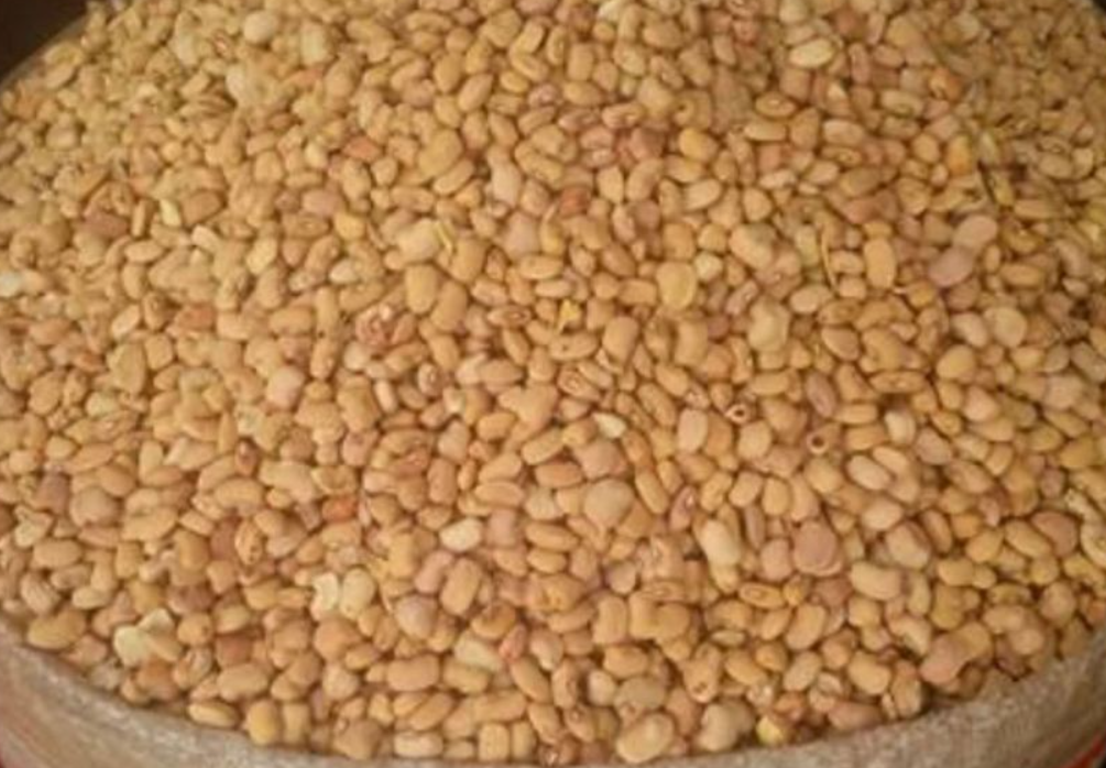 White & Brown Beans -price/100kg