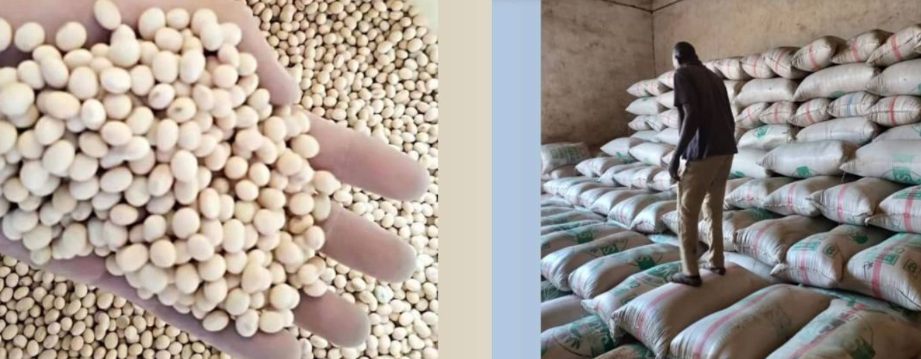 Soya Beans -price/100kg