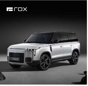 ROX 01 Chinese Car