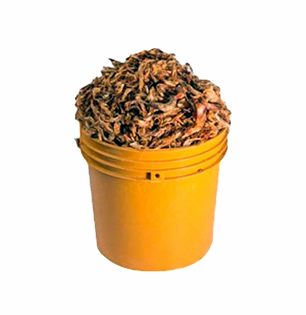 Oron Crayfish (One Paint Bucke