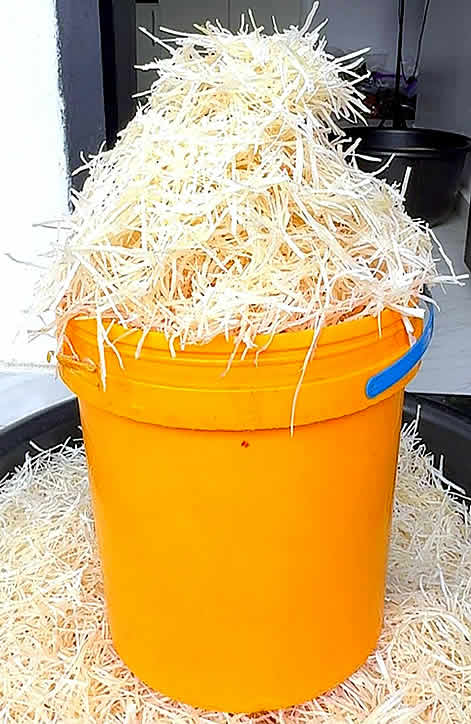 Abacha (One Paint Bucket)