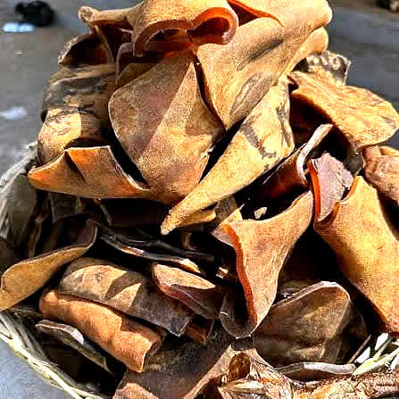 Ponmo Ijebu Big (25 pcs)